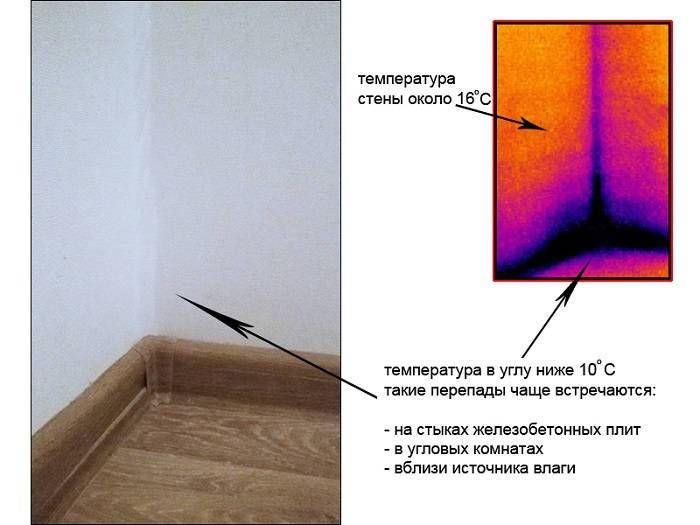 Угол комнаты окна на тепловизоре