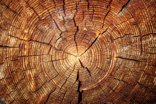 Как узнать вес древесины