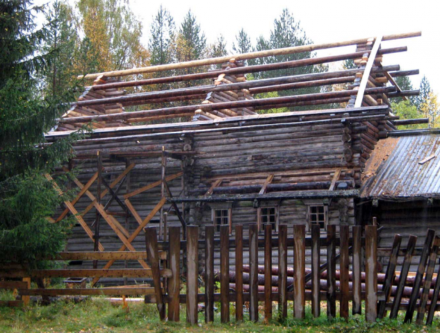 Что такое крыша на самцах