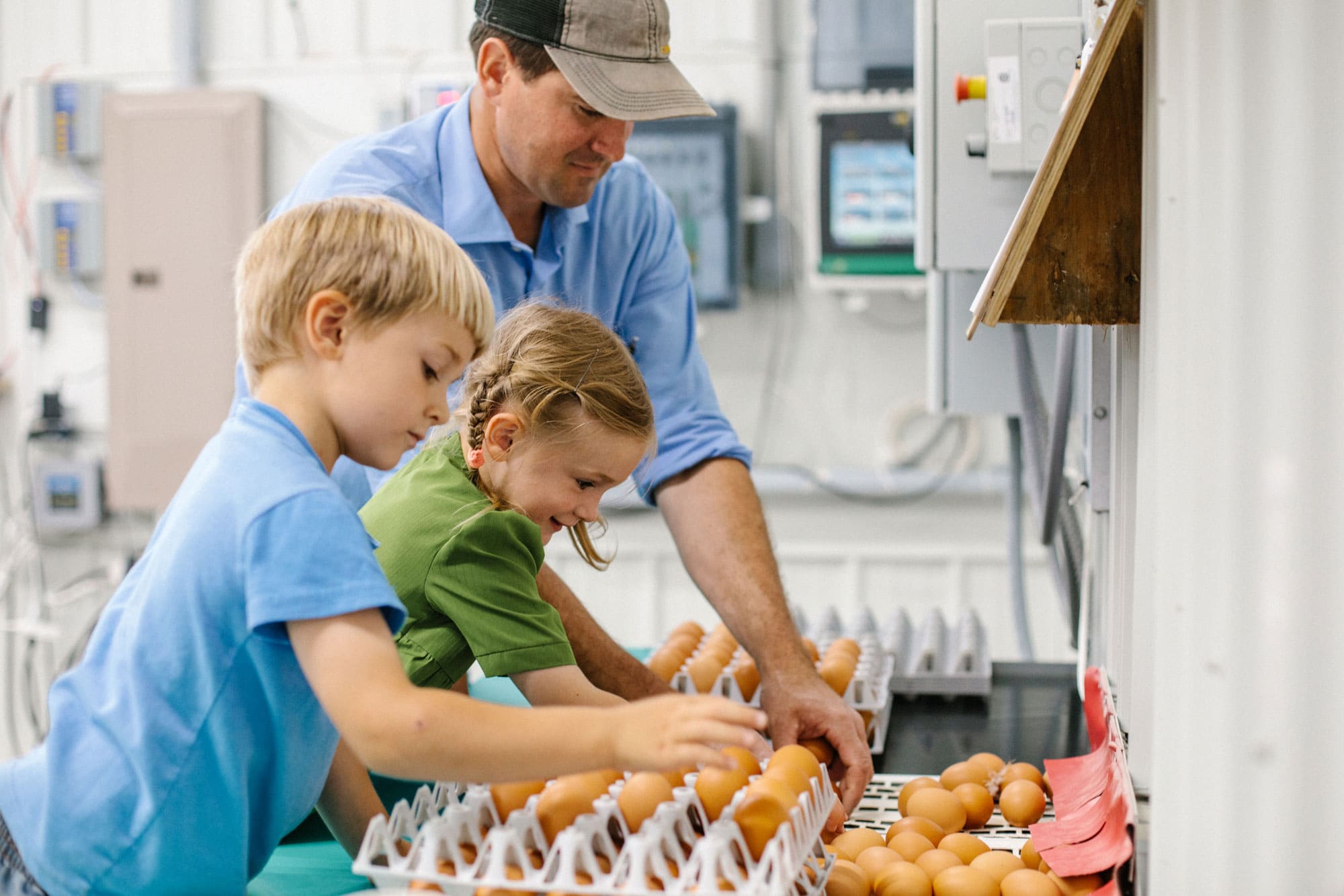 A male farmer helping a boy and a girl put eggs in cartons in a very clean, high tech looking room.