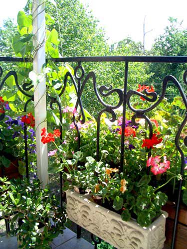 Как создать прекрасный сад на балконе, фото № 26