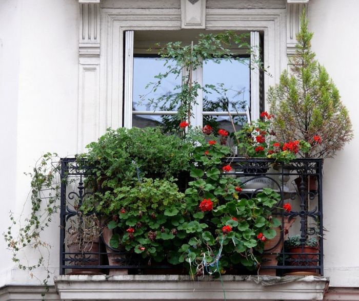 Как создать прекрасный сад на балконе, фото № 18