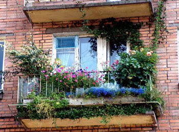 Как создать прекрасный сад на балконе, фото № 17