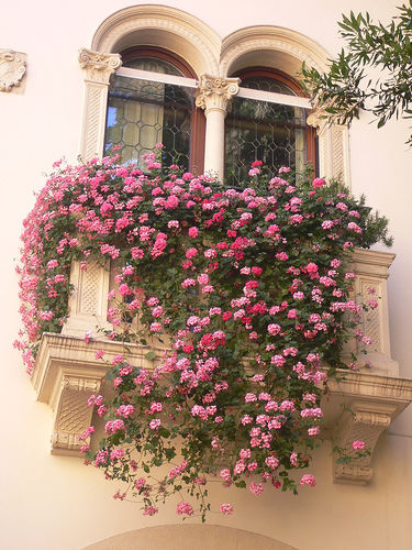 Как создать прекрасный сад на балконе, фото № 1