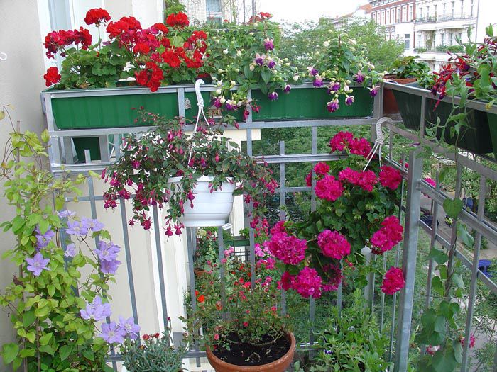 Как создать прекрасный сад на балконе, фото № 20