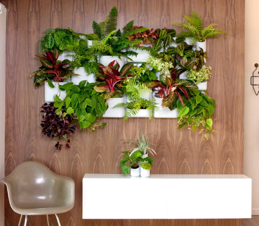 Зеленая композиция из декоративных растений