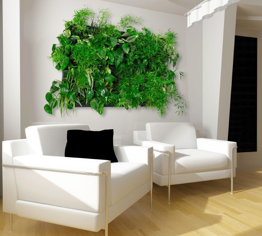 Панно из зеленых растений за белыми креслами в гостиной