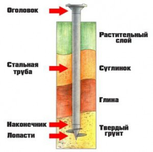 svaya s pochvoy