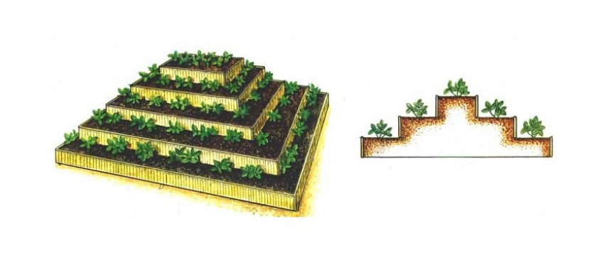 Грядки в форме пирамиды