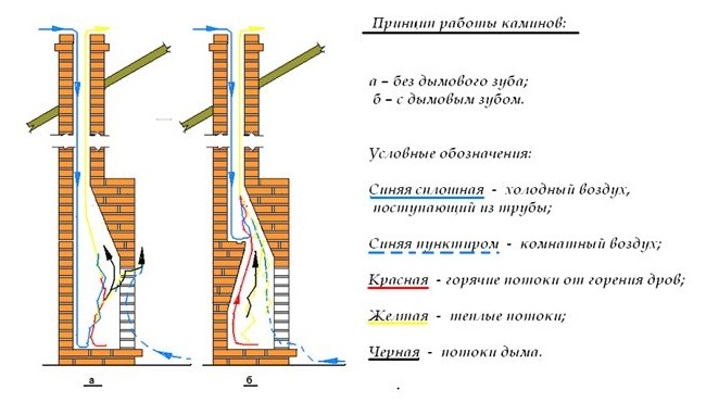 Как выглядит зуб