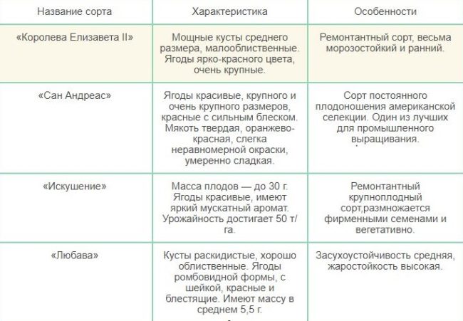 Сорта клубники для круглогодичного выращивания у себя дома