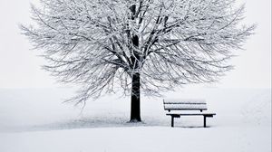 Превью обои скамейка, снег, зима, дерево, минимализм