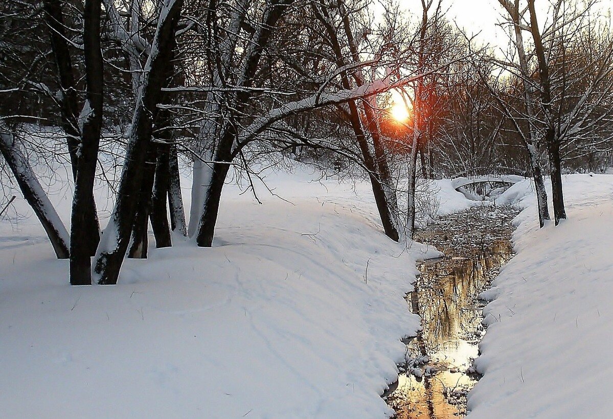 В зимнем парке