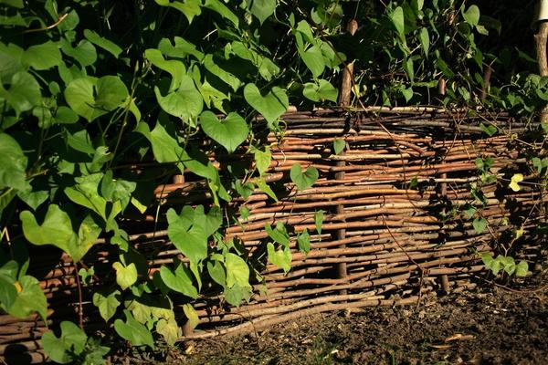 Плетень - старинный вид садового ограждения