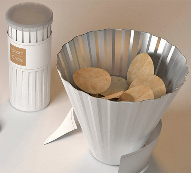 innovative packaging pringles tube