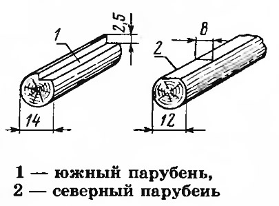 Южный и северный парубень