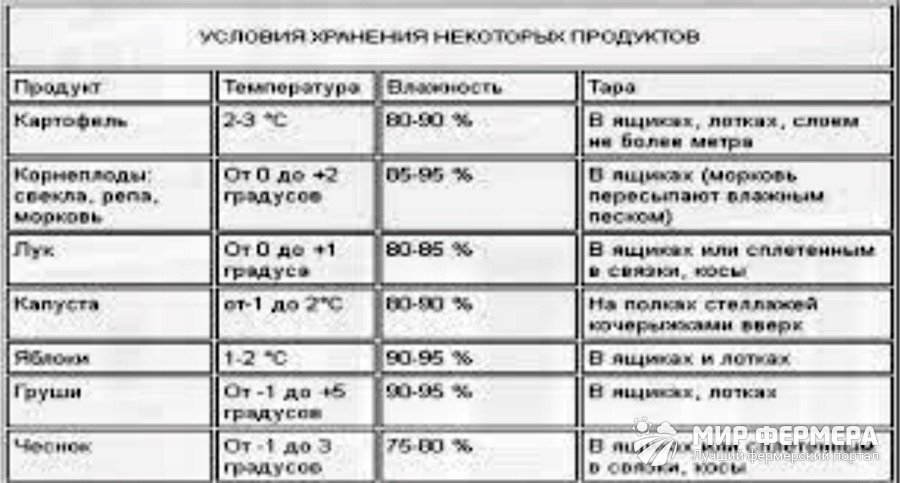 Температура хранения овощей в подвале и погребе