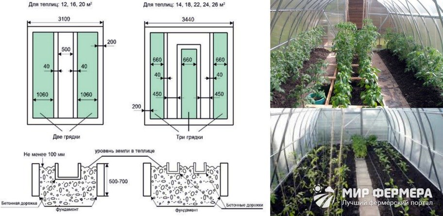 Размещение грядок в теплице