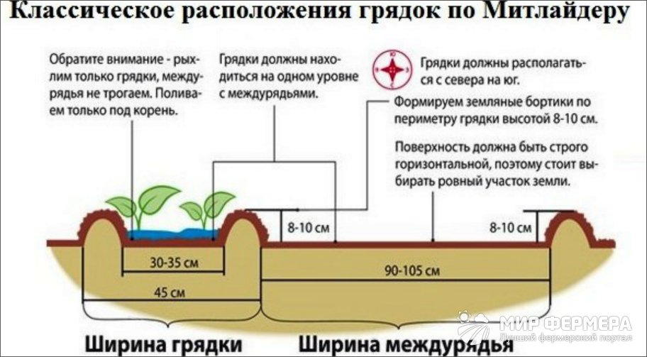 Грядки по Митлайдеру