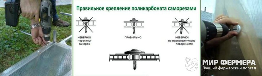 Крепление поликарбоната на саморезы