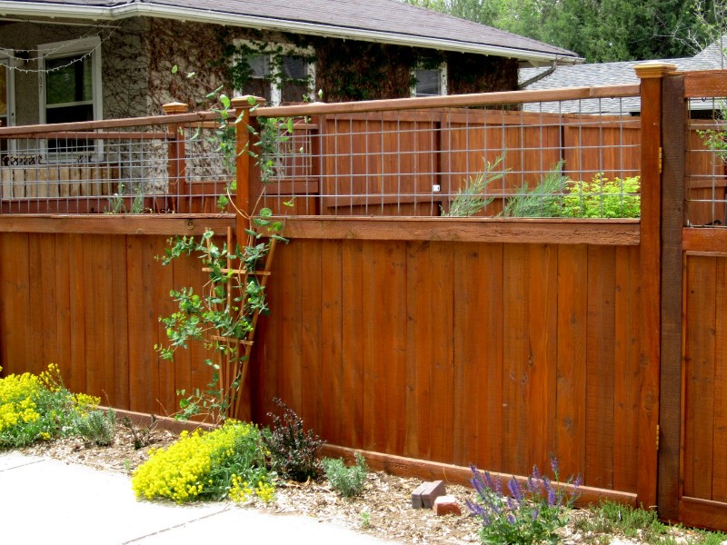 cheap fence ideas