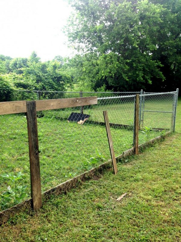 cheap fence ideas