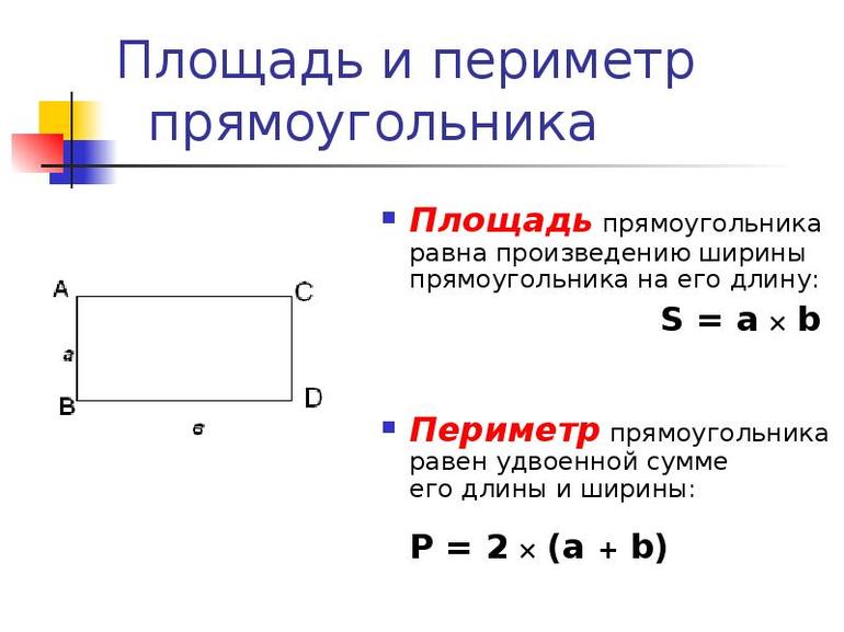 Площадь и периметр прямоугольника