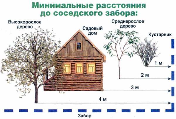 На участках в СНТ и ИЖС