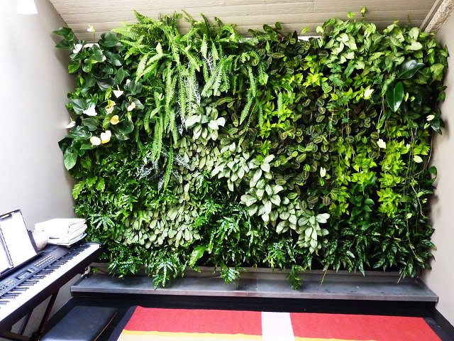 Вертикальное озеленение Green Wall в студии
