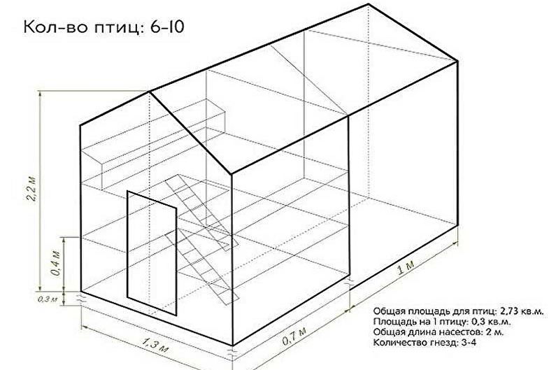 Этапы строительства курятника своими руками - Планировка