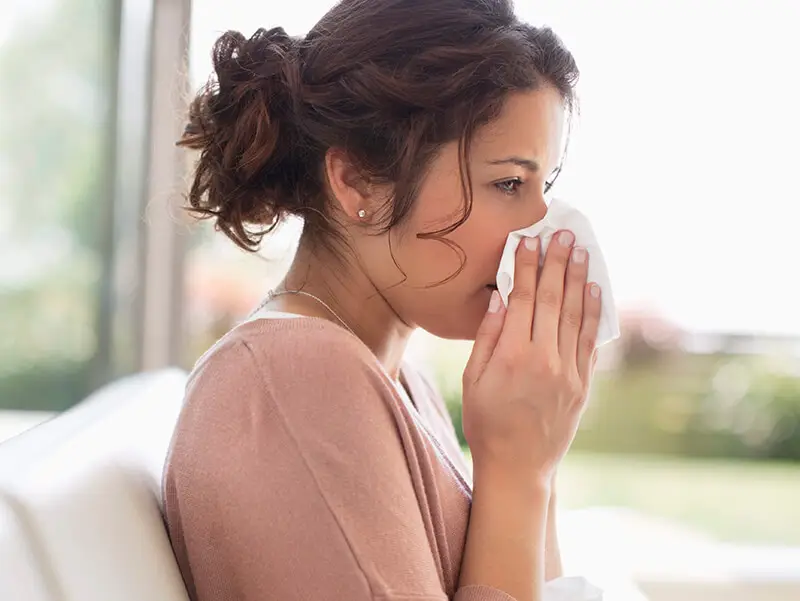 Если у вас аллергия на пыль, чаще мойте москитки, чтобы предотвратить потенциальные вспышки аллергии